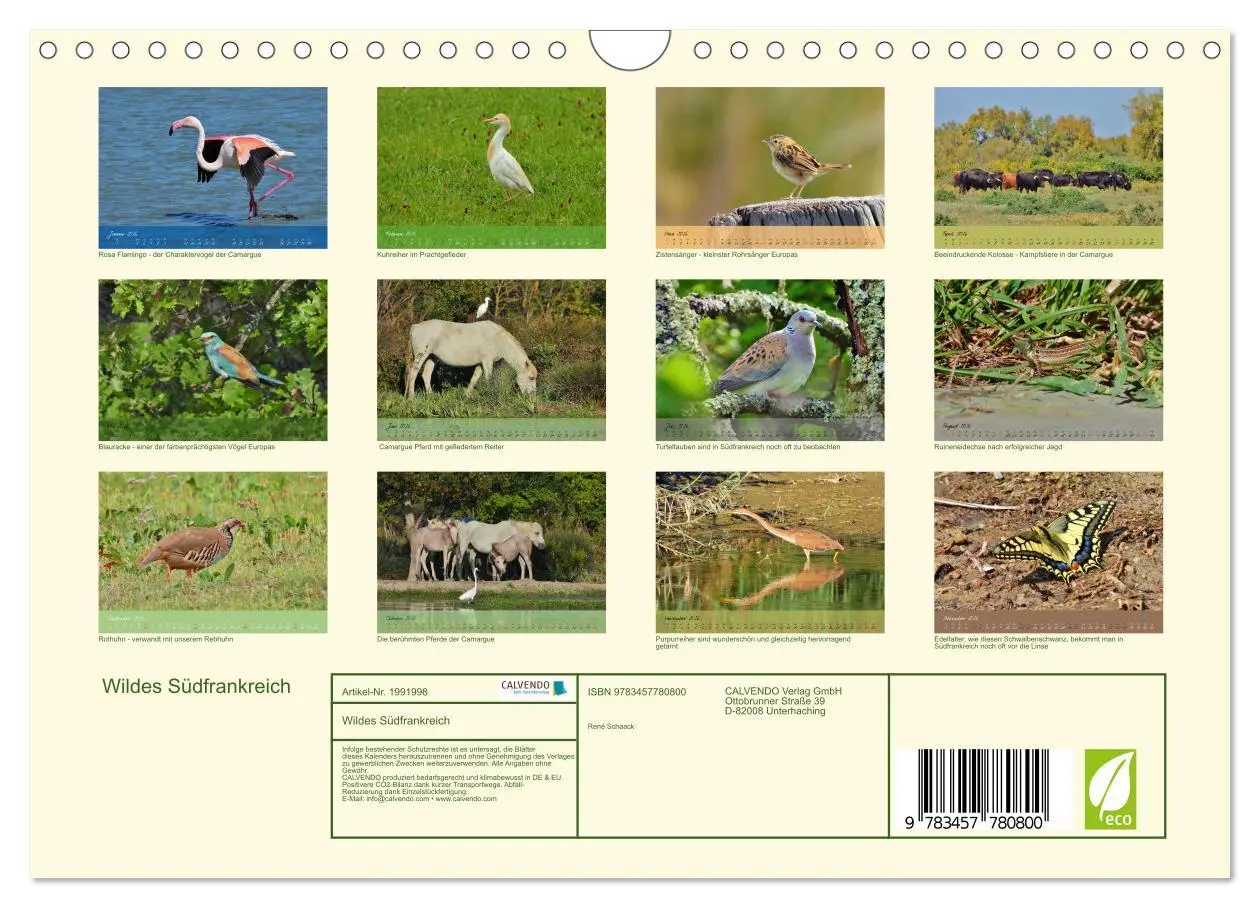 Bild: 9783457780800 | Wildes Südfrankreich (Wandkalender 2026 DIN A4 quer), CALVENDO...
