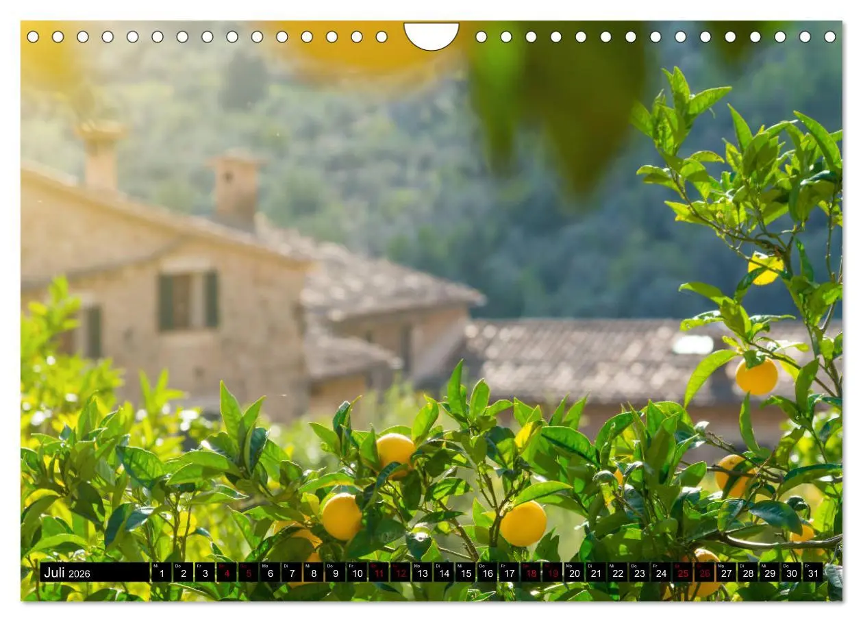 Bild: 9783457850800 | Mallorca - Trauminsel im Mittelmeer (Wandkalender 2026 DIN A4...
