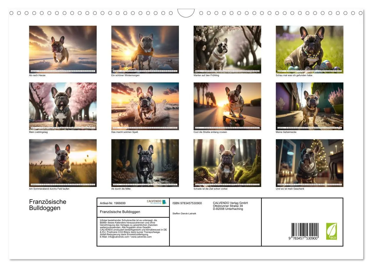 Bild: 9783457530900 | Französische Bulldoggen (Wandkalender 2026 DIN A3 quer), CALVENDO...