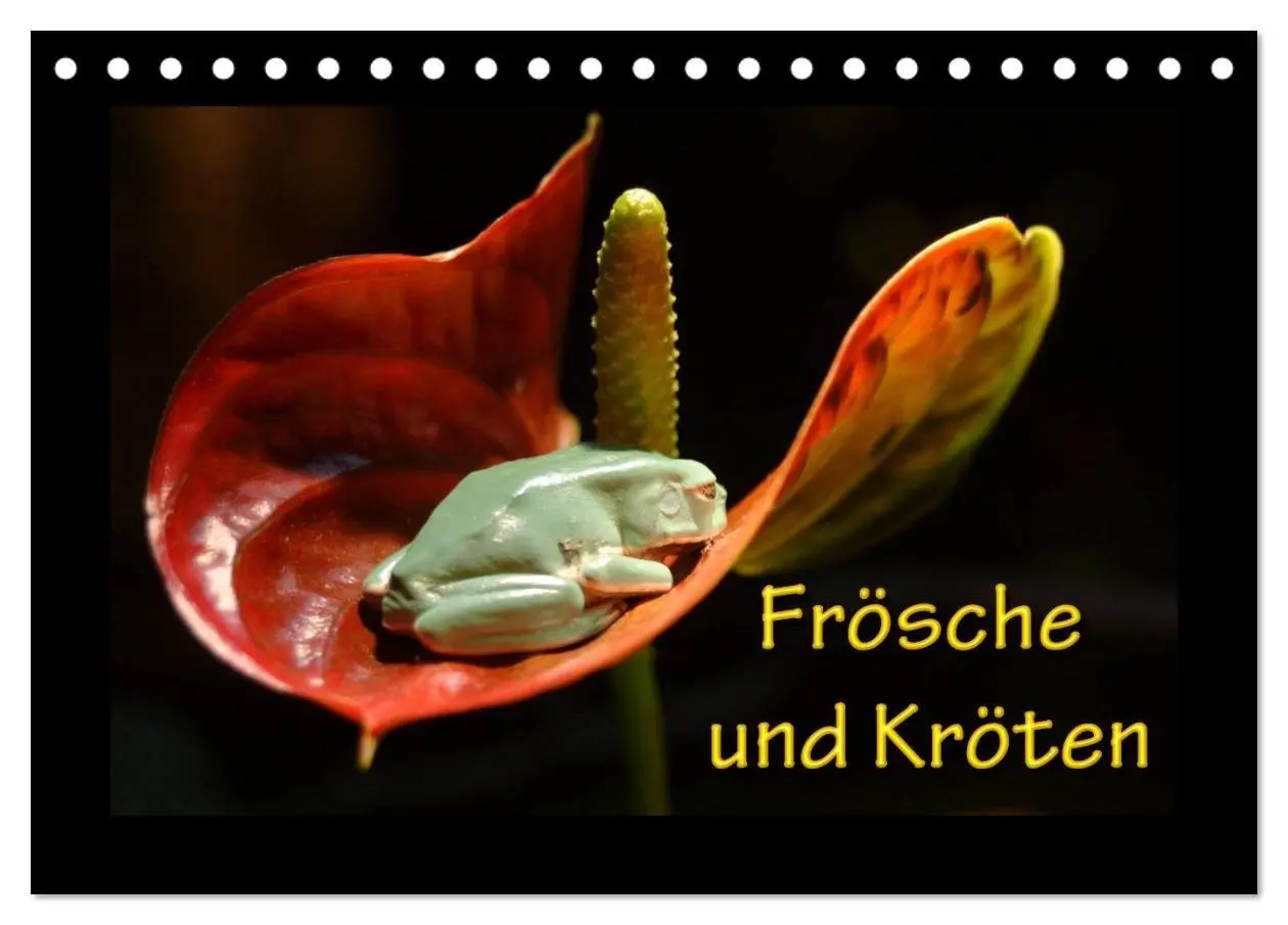 Frösche und Kröten (Tischkalender 2027 DIN A5 quer), CALVENDO Monatskalender