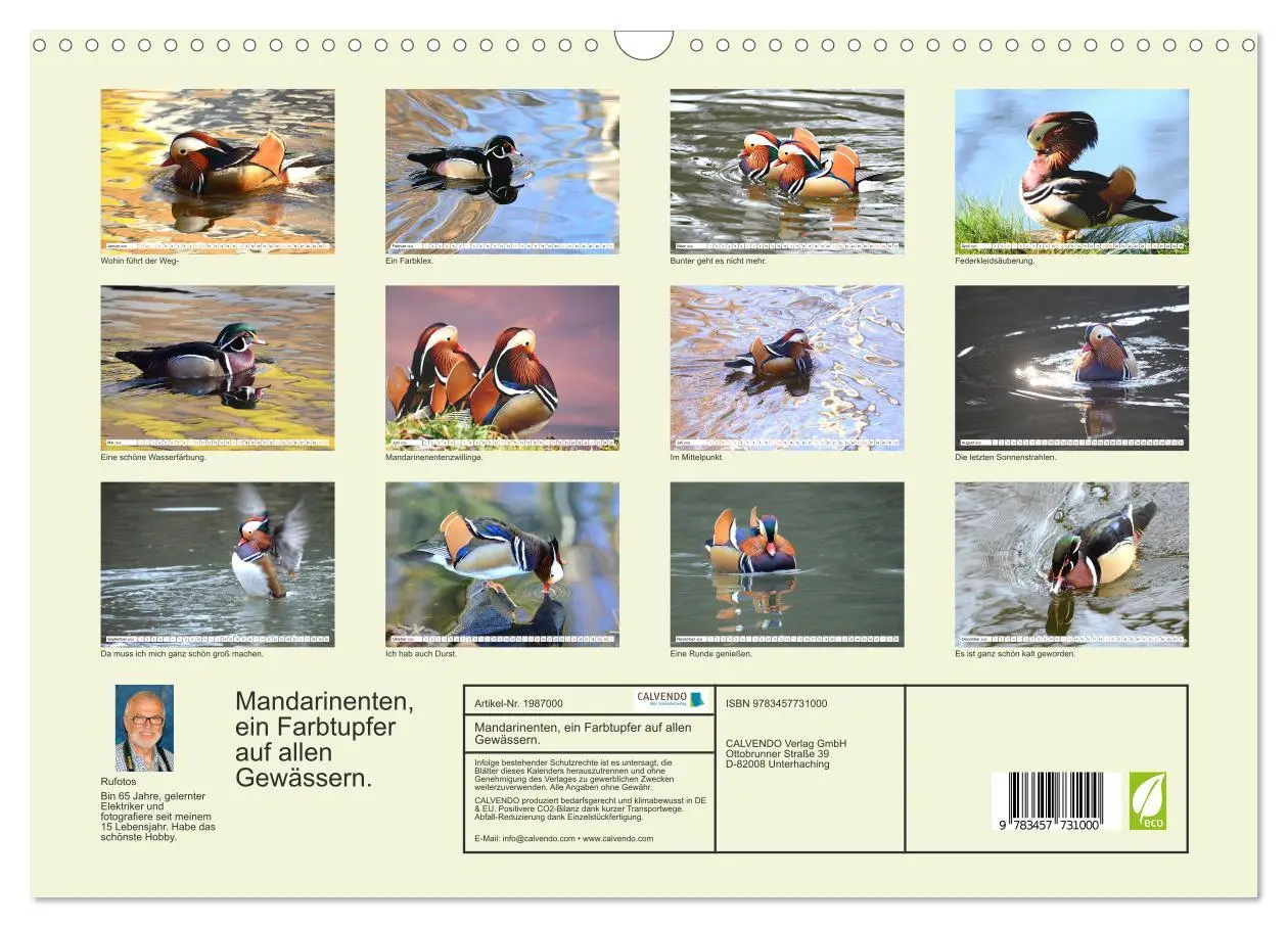 Bild: 9783457731000 | Mandarinenten, ein Farbtupfer auf allen Gewässern. (Wandkalender...
