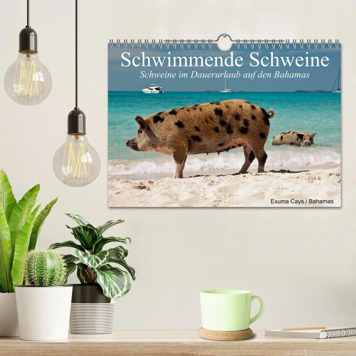 Bild: 9783457971000 | Schwimmende Schweine (Wandkalender 2026 DIN A4 quer), CALVENDO...