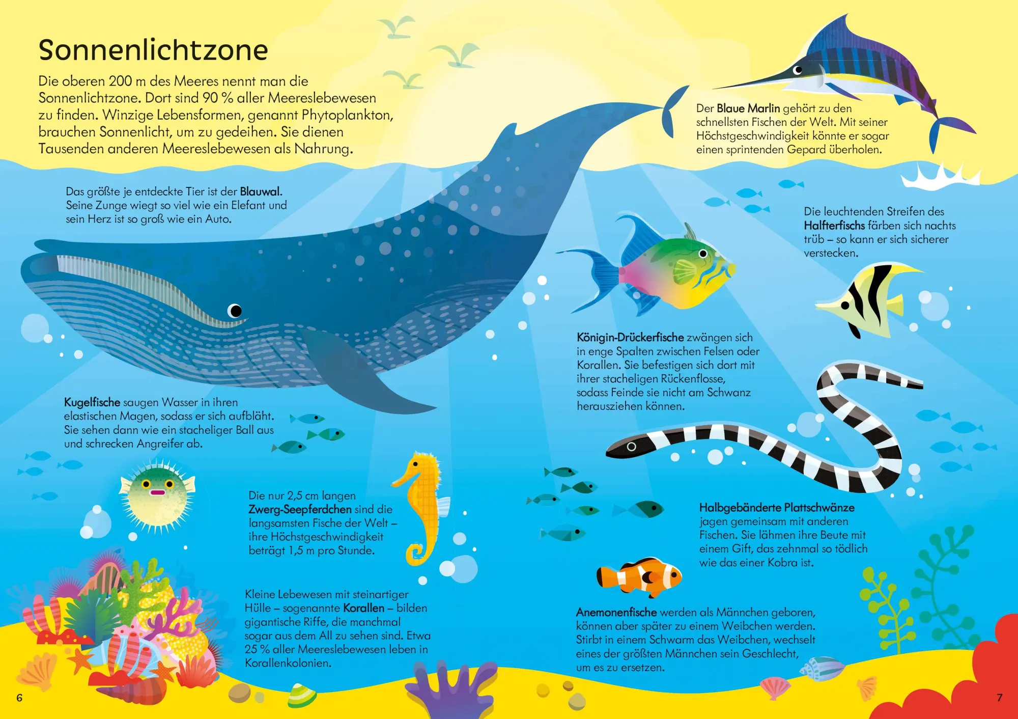Bild: 9781035701100 | Puzzle &amp; Buch: Tiere im Ozean | Taschenbuch | Puzzle-und-Buch-Reihe