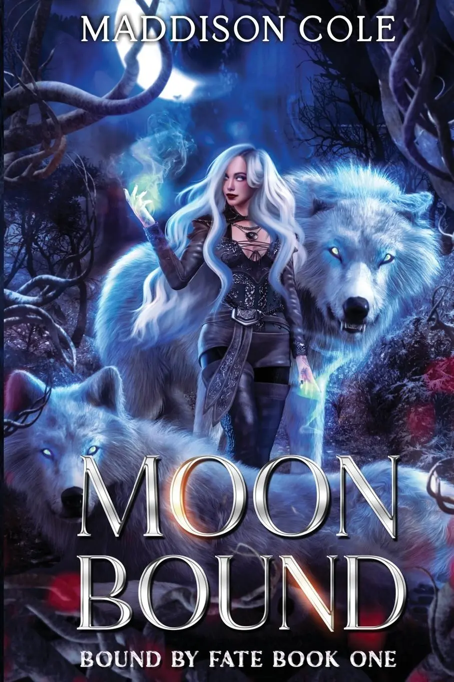 Cover: 9781916521100 | Moon Bound | A Why Choose Fated Mates Romance | Maddison Cole | Buch