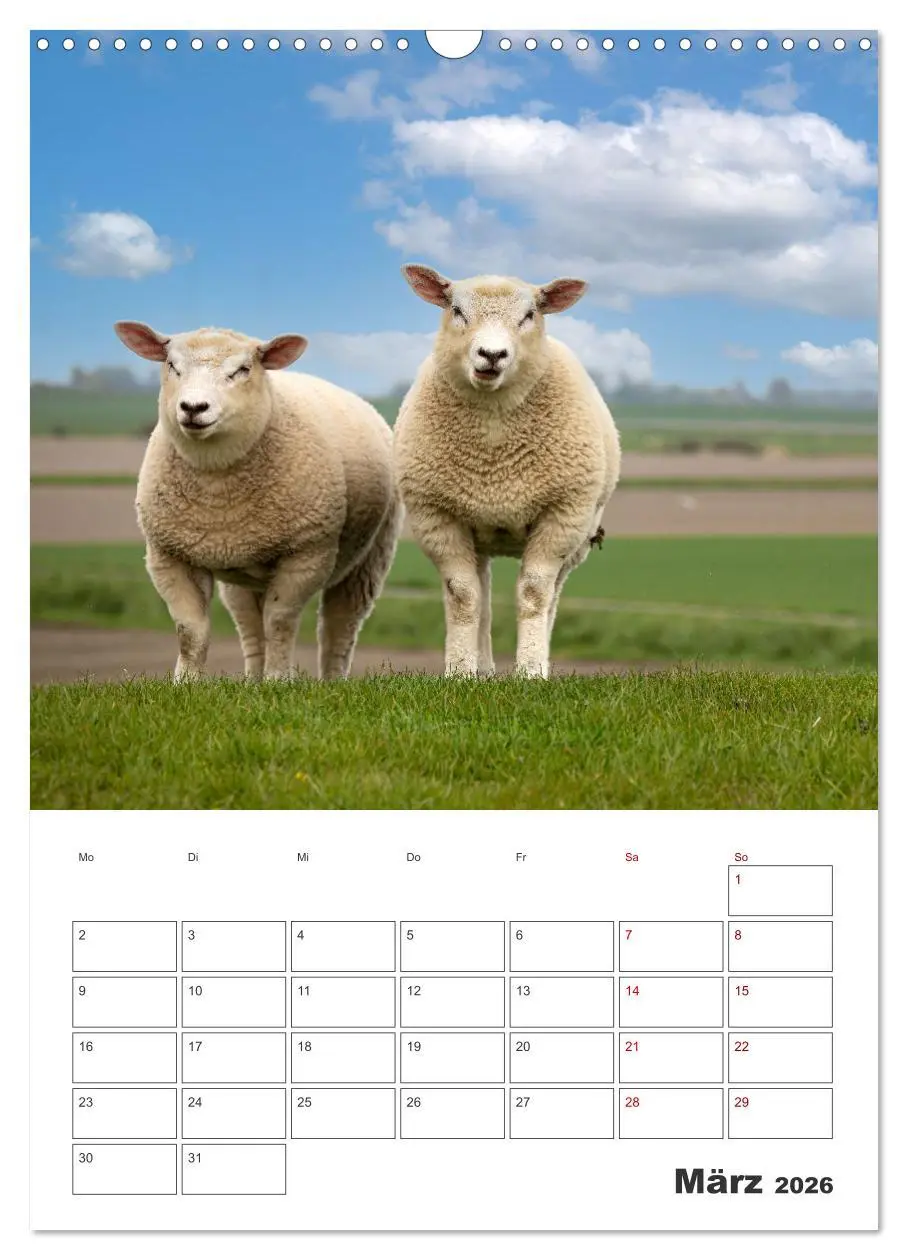 Bild: 9783516361100 | Sankt Peter-Ording Sonne, Strand und Meer (Wandkalender 2026 DIN A3...