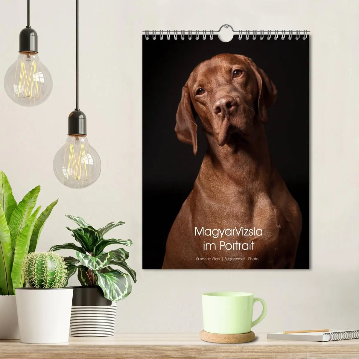 Bild: 9783516431100 | Magyar Vizsla im Portrait (Wandkalender 2026 DIN A4 hoch), CALVENDO...