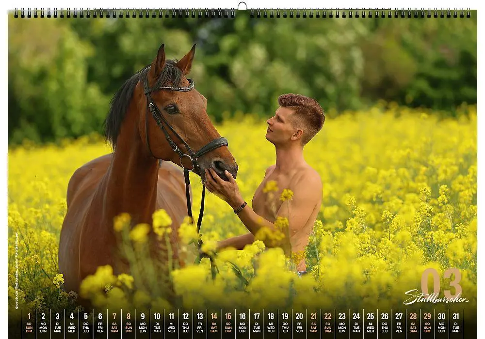 Bild: 9783949471100 | Stallburschen 2026 | creatxx media Verlag | Kalender | Deutsch | 2026