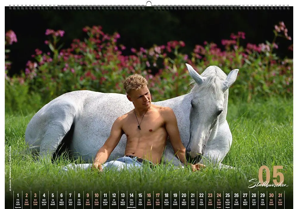 Bild: 9783949471100 | Stallburschen 2026 | creatxx media Verlag | Kalender | Deutsch | 2026