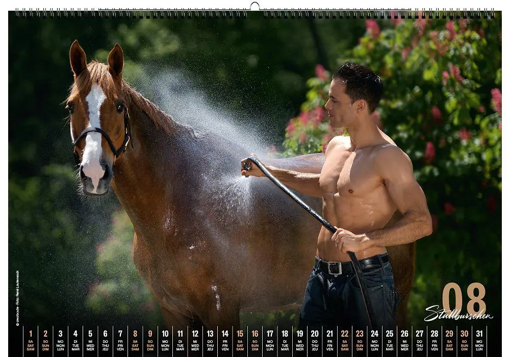 Bild: 9783949471100 | Stallburschen 2026 | creatxx media Verlag | Kalender | Deutsch | 2026
