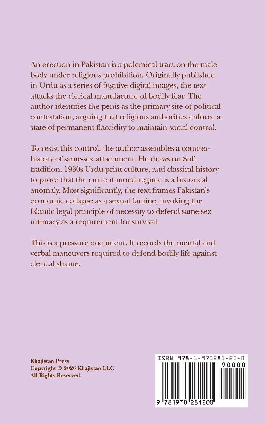 Rückseite: 9781970281200 | An Erection in Pakistan | Shahab Nazir (u. a.) | Taschenbuch | 2026