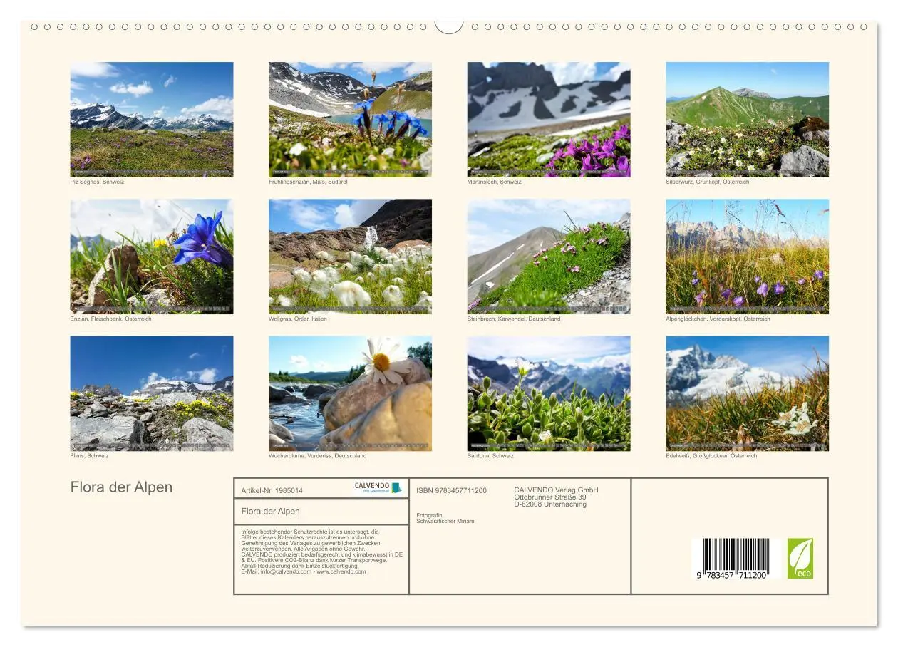 Bild: 9783457711200 | Flora der Alpen (hochwertiger Premium Wandkalender 2026 DIN A2...