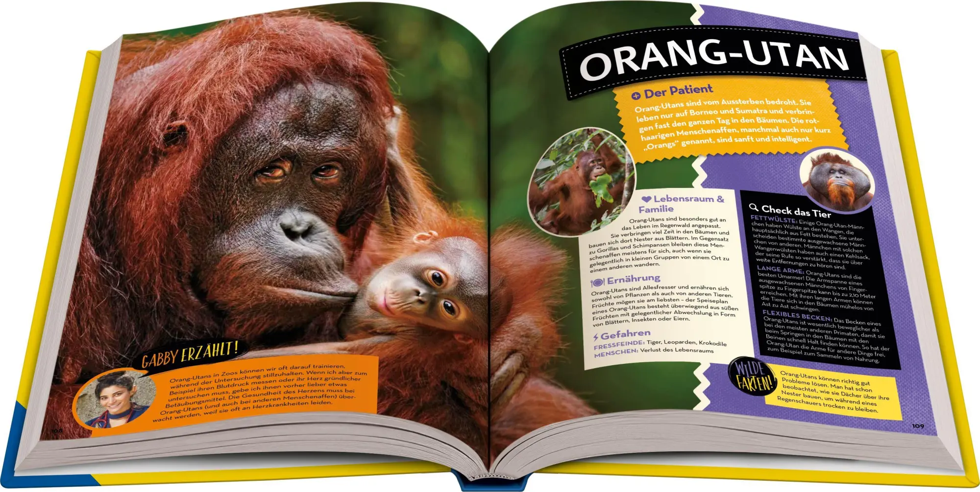 Bild: 9783473481200 | National Geographic Kids - Abenteuer einer Wildtierärztin | Gabby Wild