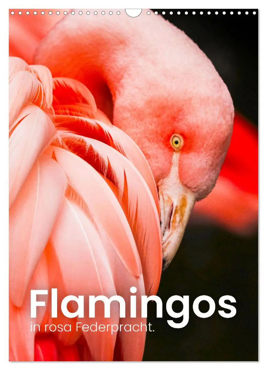 Cover: 9783516351200 | Flamingos in rosa Federpracht. (Wandkalender 2026 DIN A3 hoch),...