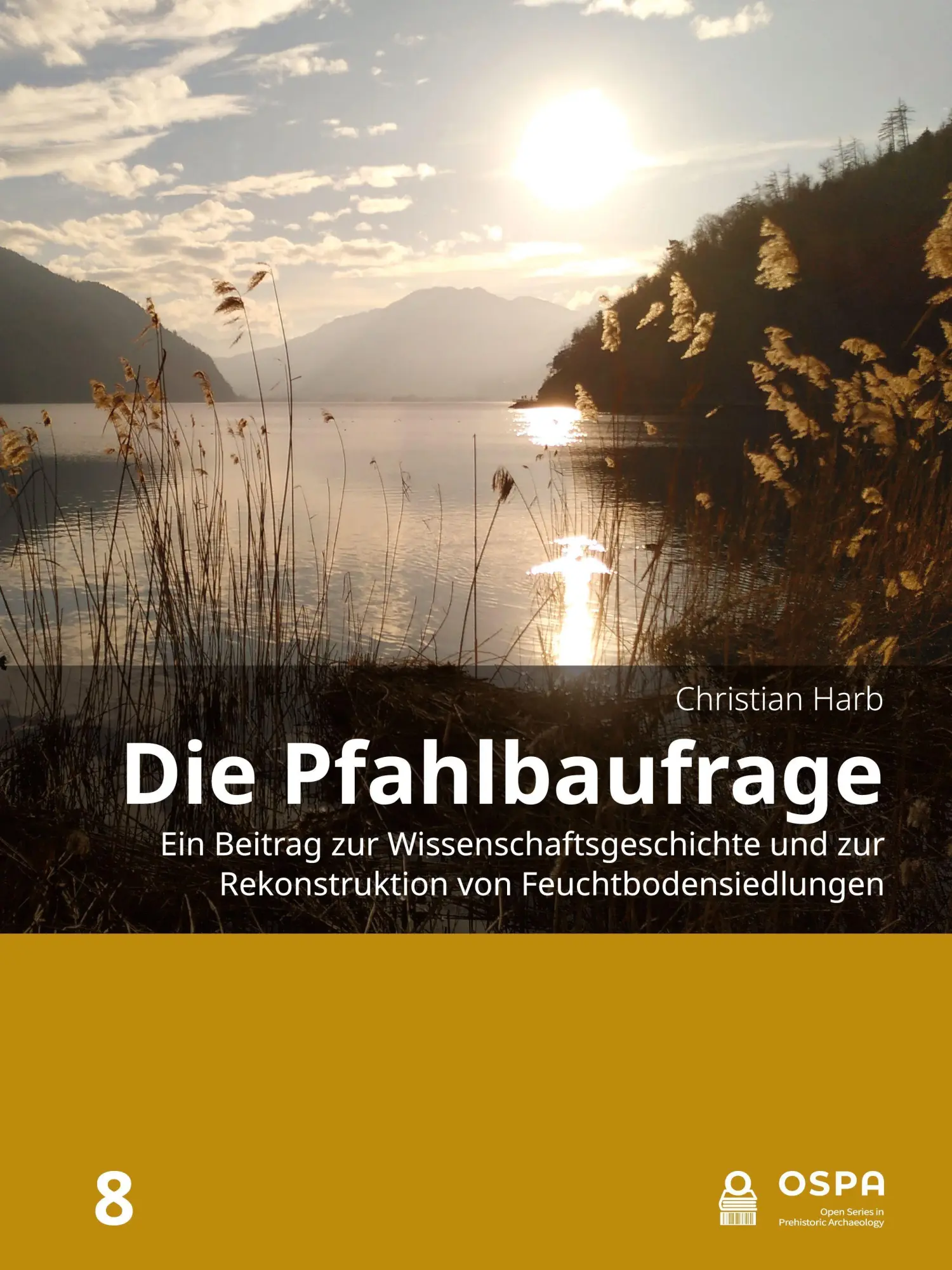 Cover: 9789464281200 | Die Pfahlbaufrage | Christian Harb | Taschenbuch | 198 S. | Deutsch
