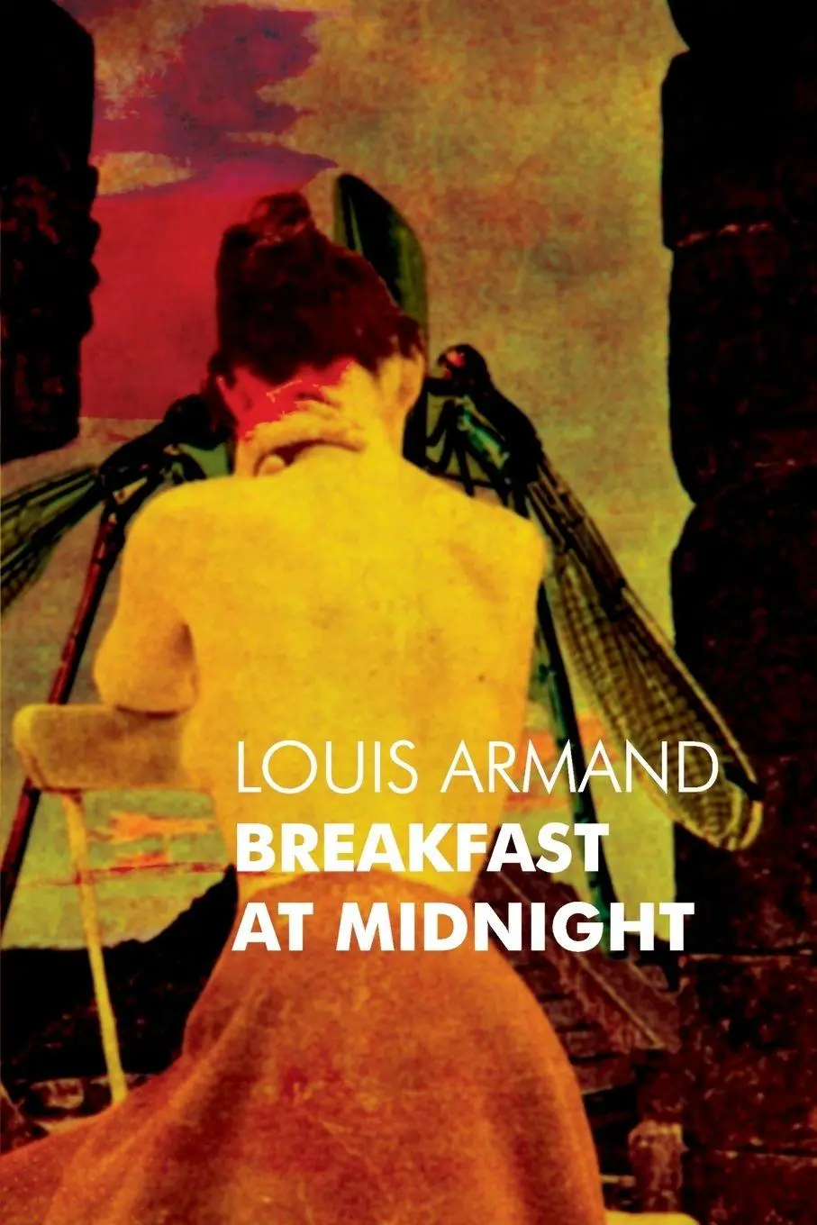 Cover: 9780957121300 | Breakfast at Midnight | Louis Armand | Taschenbuch | Englisch | 2012