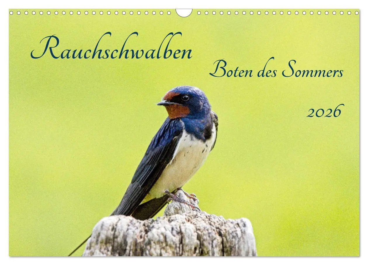 Cover: 9783457491300 | Rauchschwalben - Boten des Sommers (Wandkalender 2026 DIN A3 quer),...