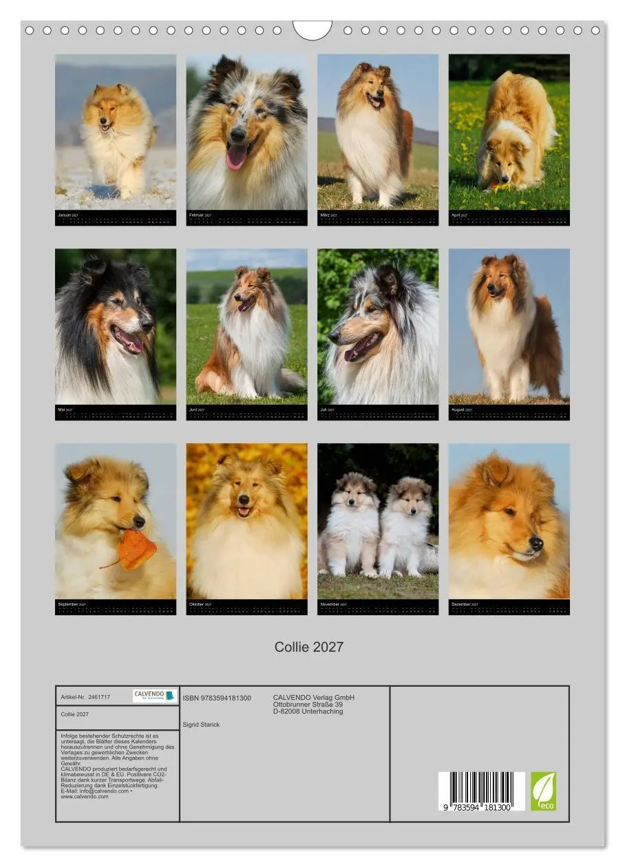 Bild: 9783594181300 | Collie 2027 (Wandkalender 2027 DIN A3 hoch), CALVENDO Monatskalender