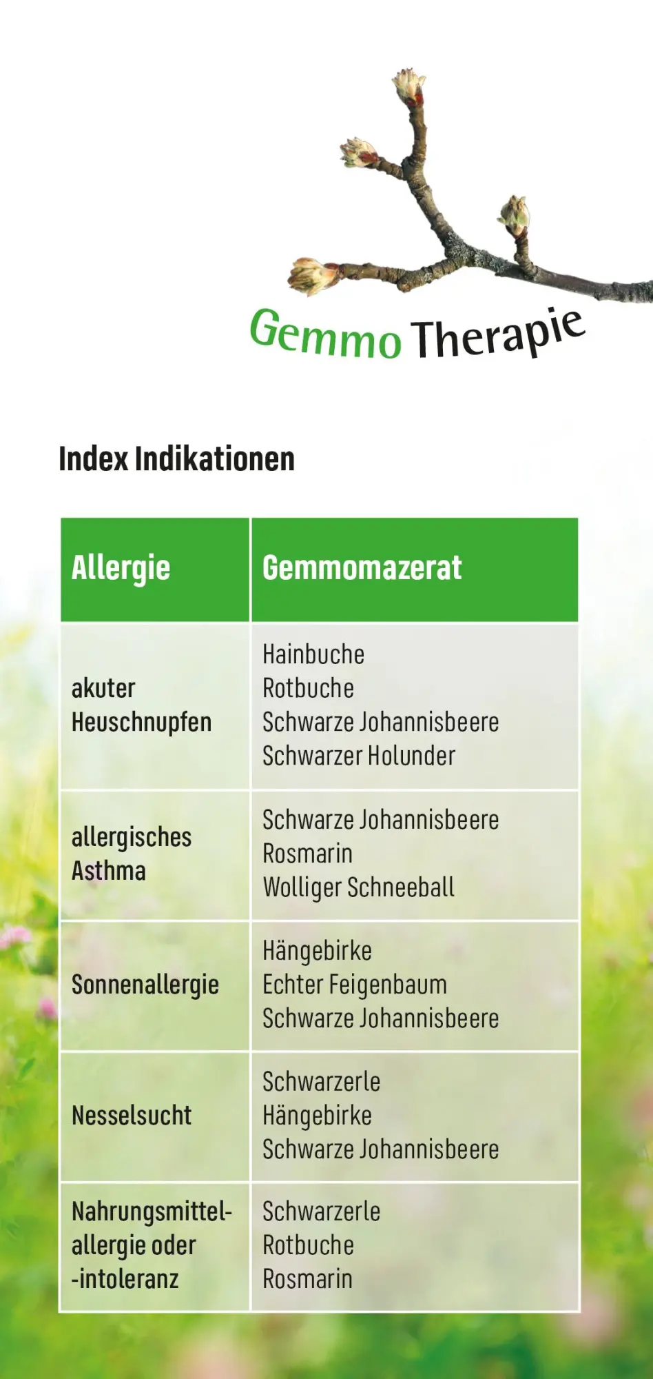 Bild: 9783945181300 | Allergien | heile dich | Andreas Nieswandt | Taschenbuch | heile dich