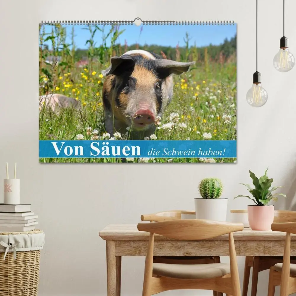 Bild: 9783435601400 | Von Säuen die Schwein haben! (Wandkalender 2025 DIN A2 quer),...