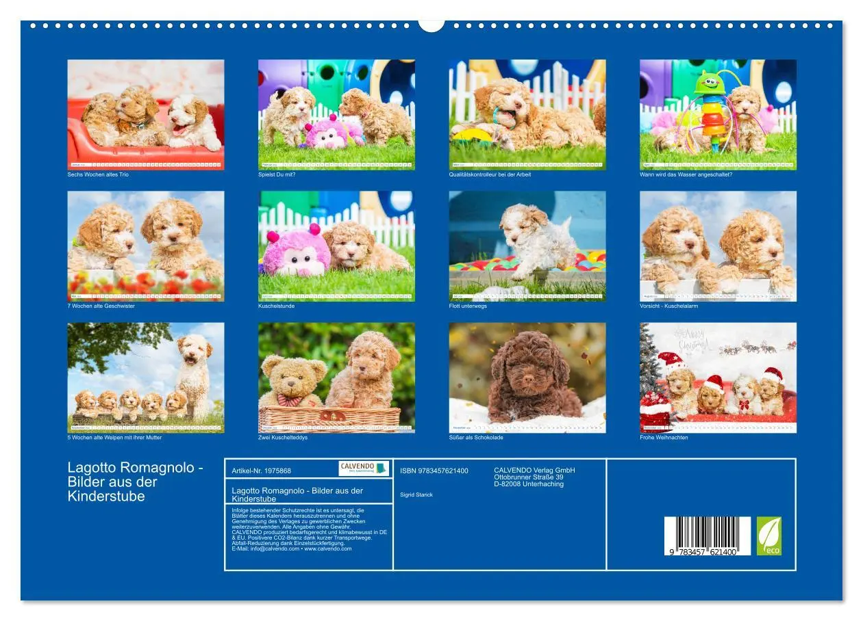 Bild: 9783457621400 | Lagotto Romagnolo - Bilder aus der Kinderstube (Wandkalender 2026...