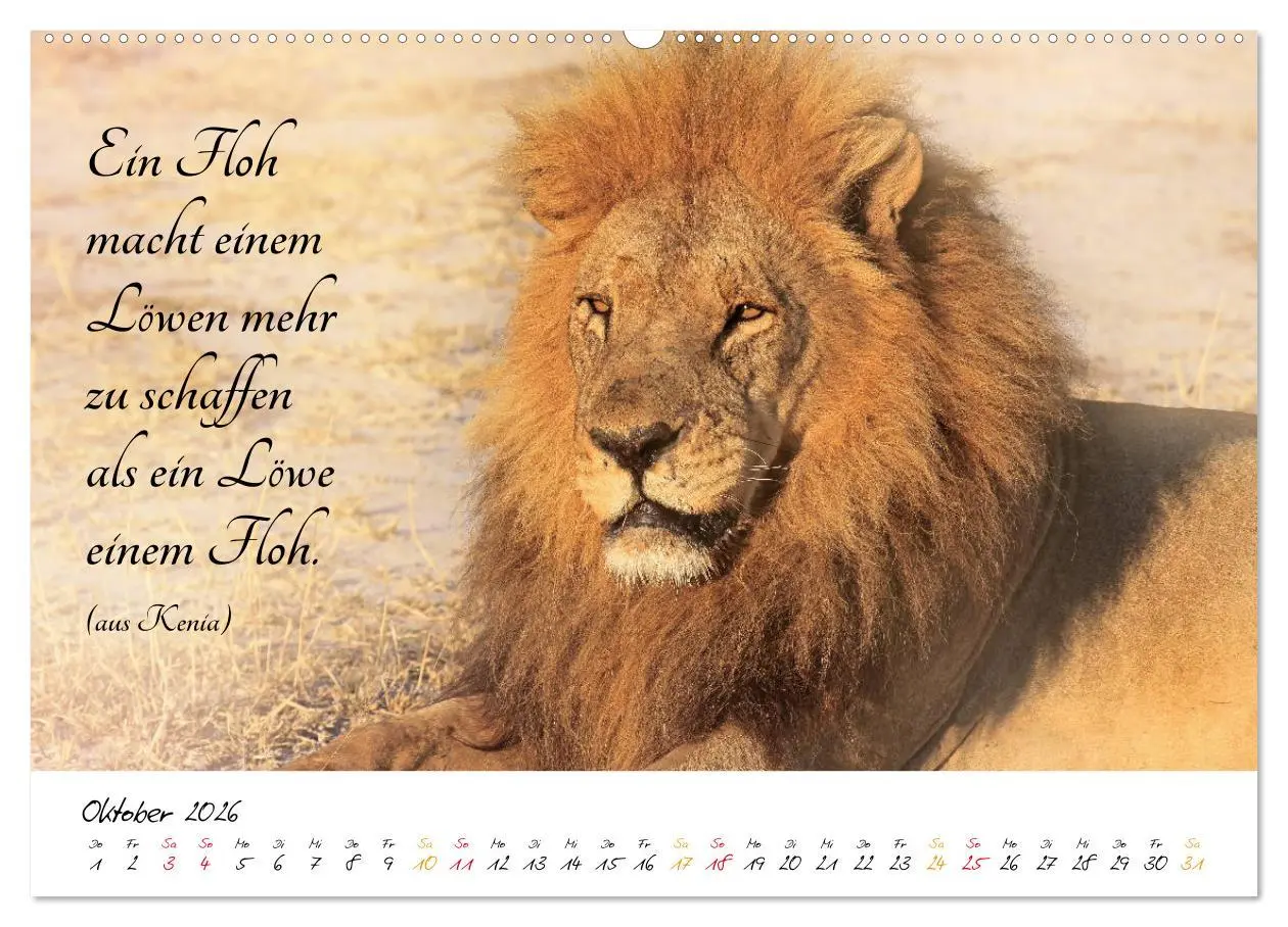 Bild: 9783457861400 | AFRIKA - Kontinent der Poesie (Wandkalender 2026 DIN A2 quer),...