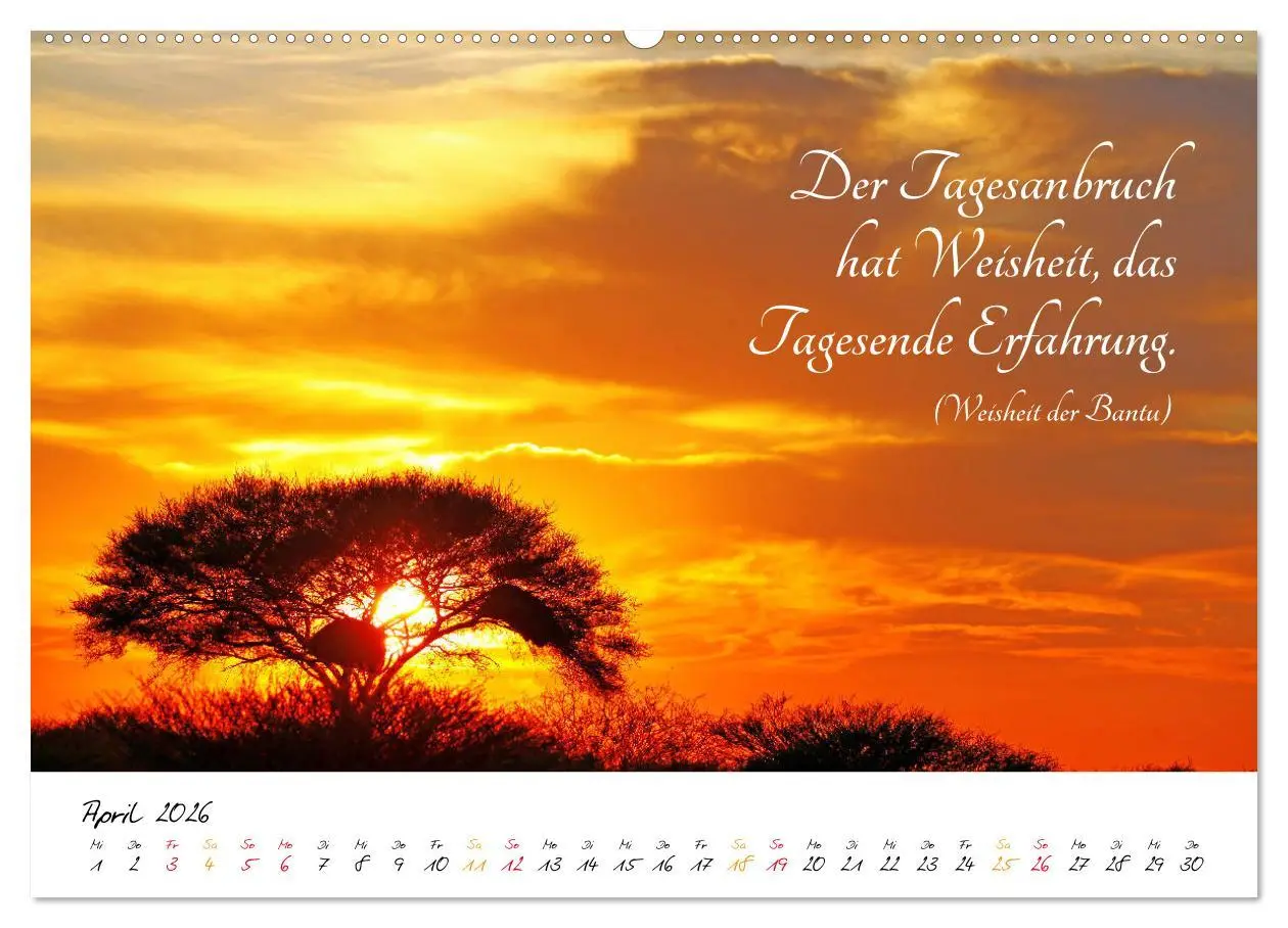 Bild: 9783457861400 | AFRIKA - Kontinent der Poesie (Wandkalender 2026 DIN A2 quer),...