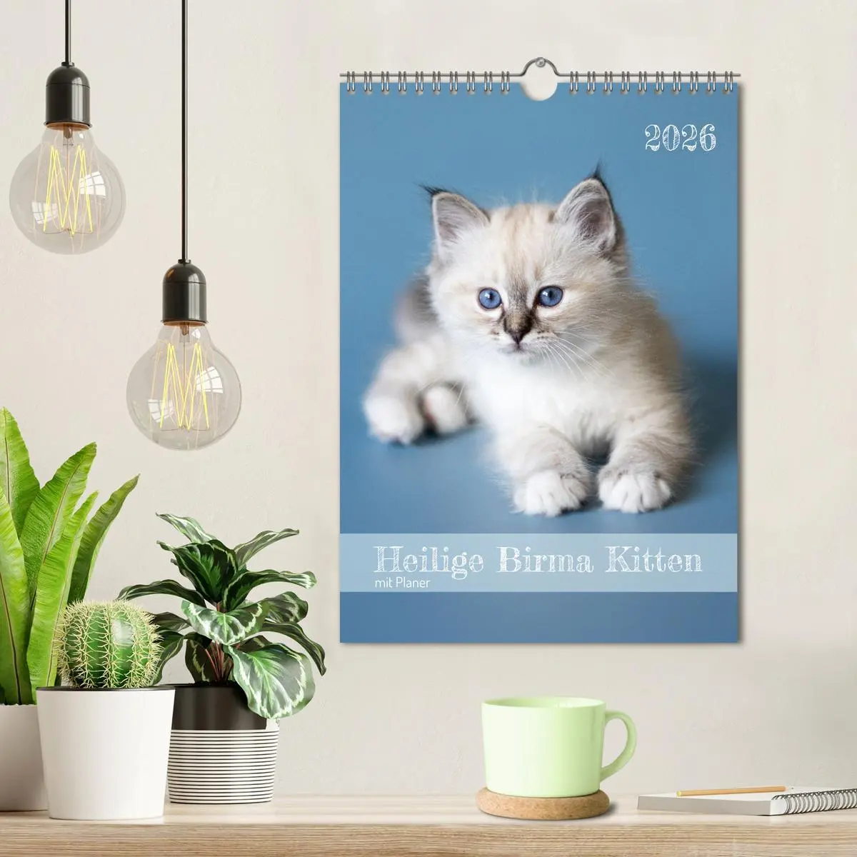 Bild: 9783516641400 | Heilige Birma Kitten Kalender mit Planer (Wandkalender 2026 DIN A4...