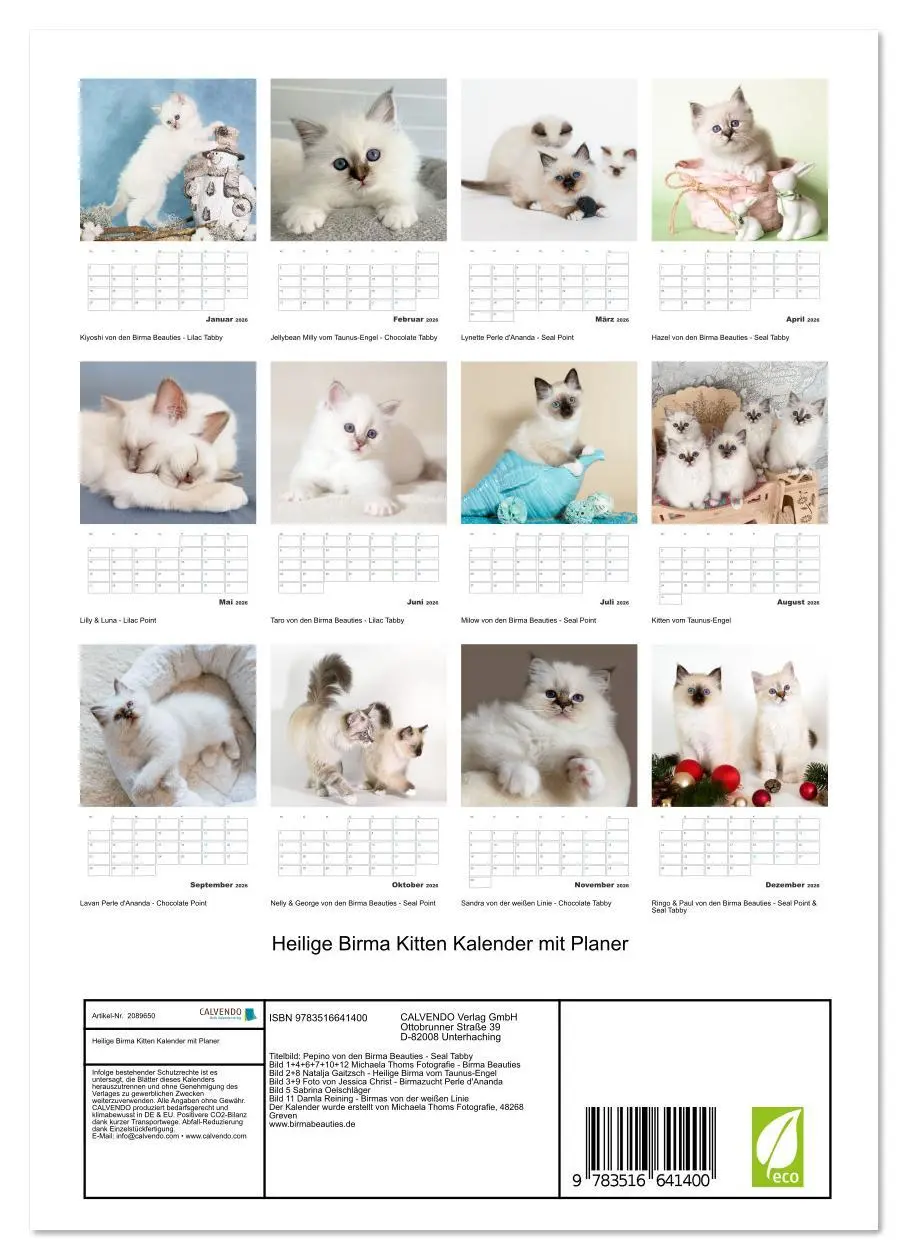 Bild: 9783516641400 | Heilige Birma Kitten Kalender mit Planer (Wandkalender 2026 DIN A4...