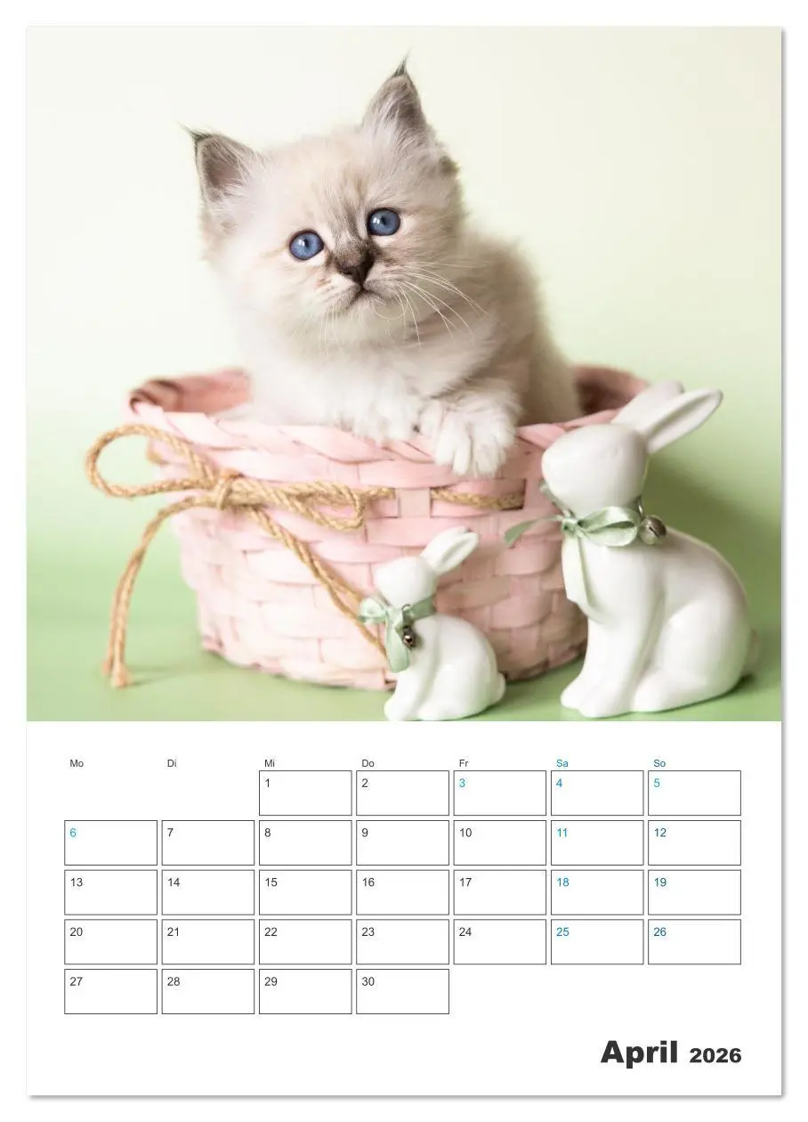 Bild: 9783516641400 | Heilige Birma Kitten Kalender mit Planer (Wandkalender 2026 DIN A4...
