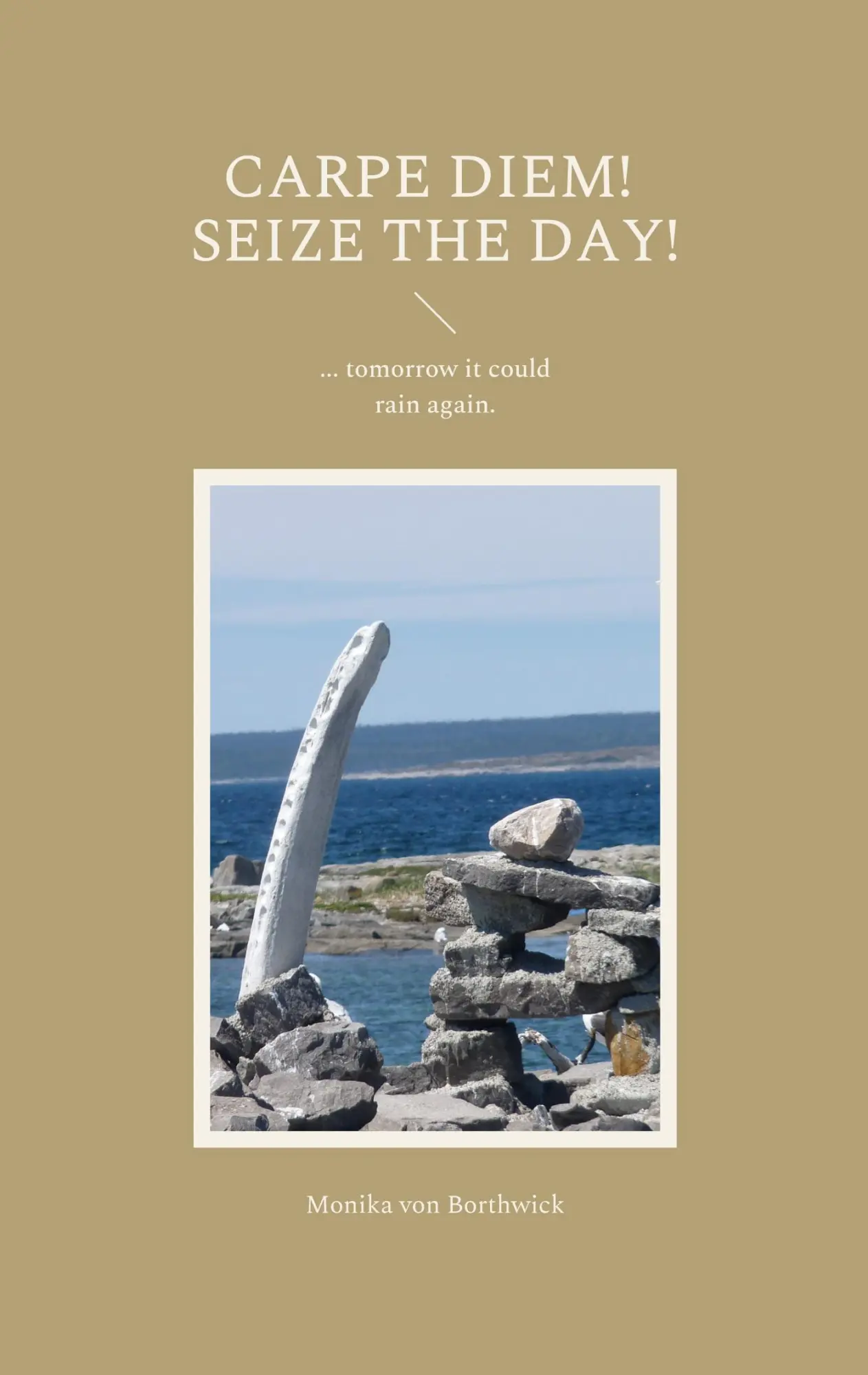 Cover: 9783756221400 | Carpe Diem! Seize the day! | ... tomorrow it could rain again. | Buch