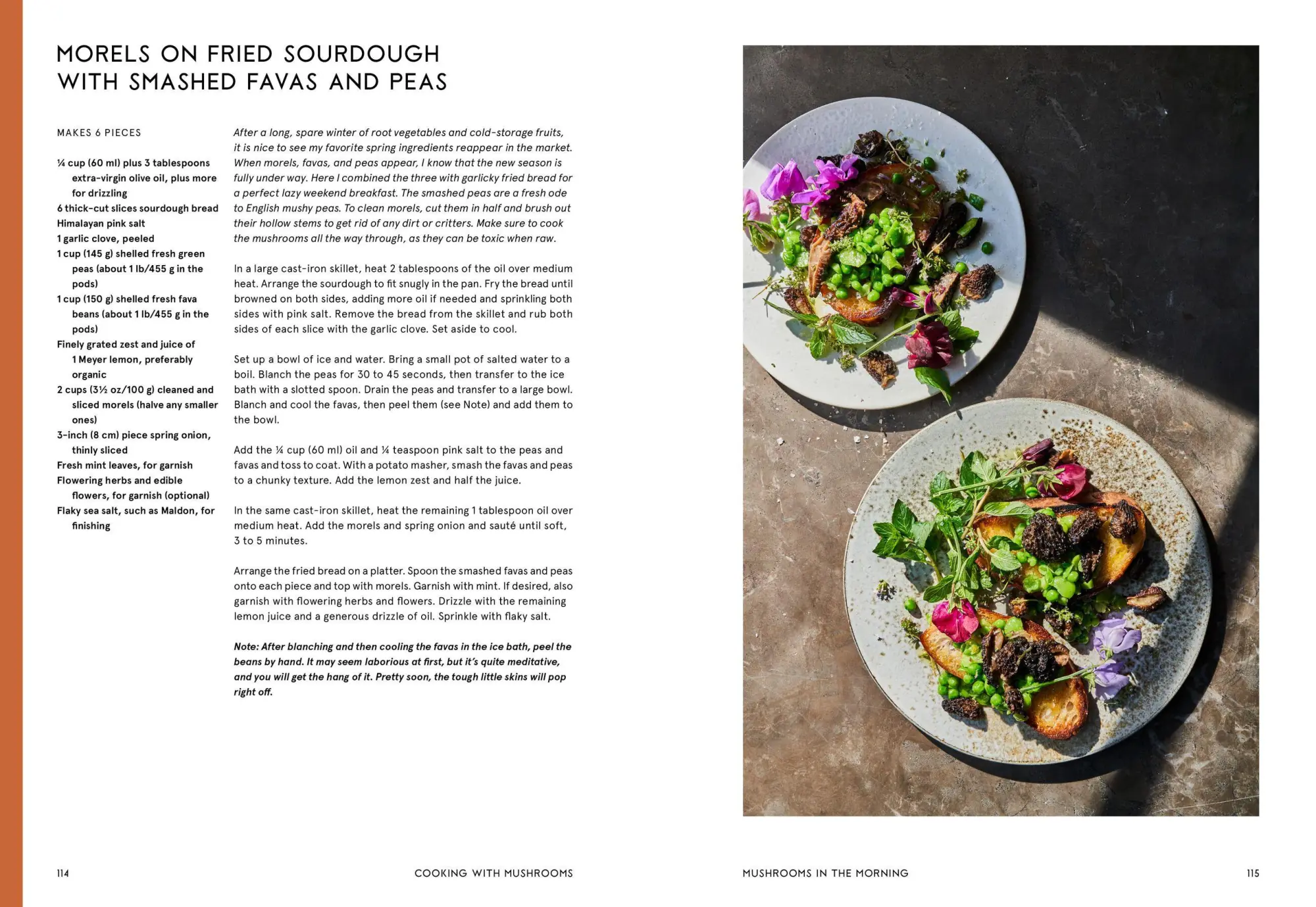 Bild: 9781648291500 | Cooking with Mushrooms | Andrea Gentl | Buch | Gebunden | Englisch