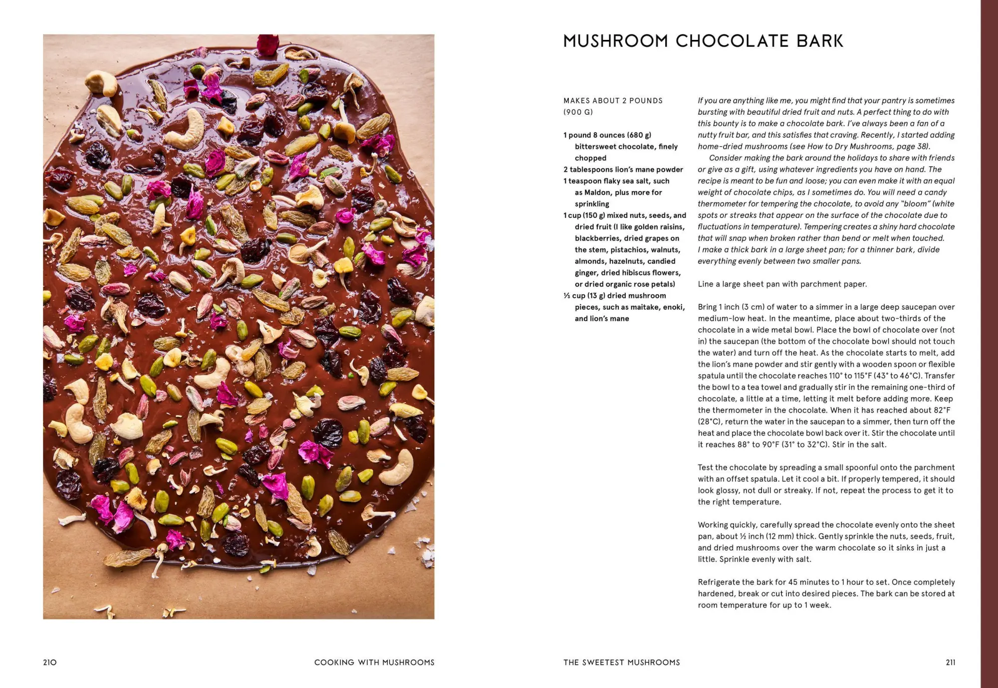Bild: 9781648291500 | Cooking with Mushrooms | Andrea Gentl | Buch | Gebunden | Englisch