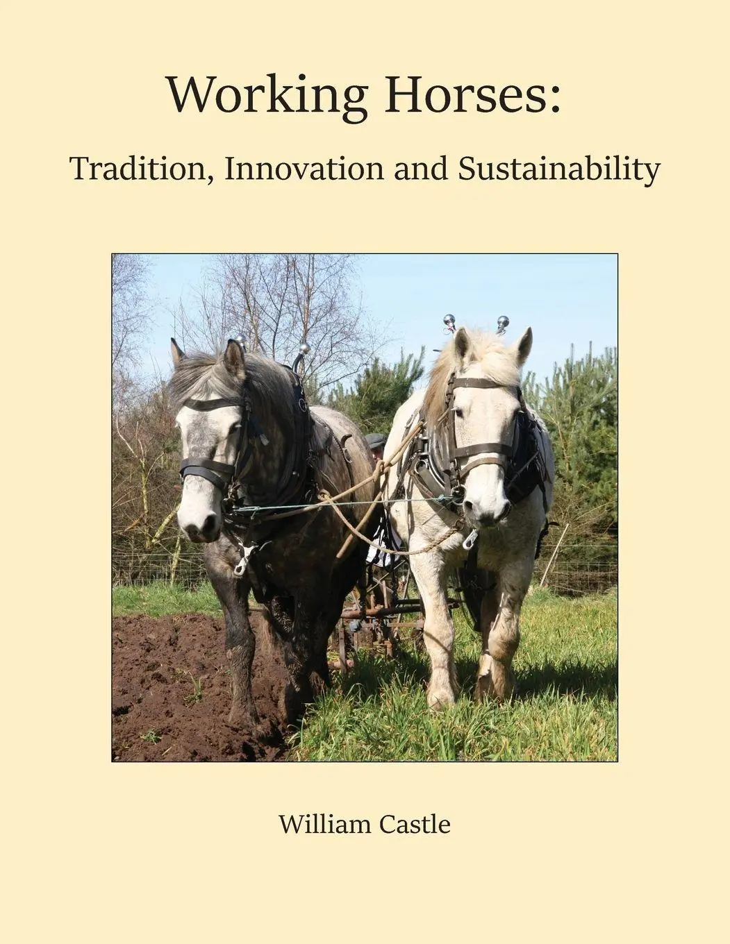 Cover: 9781919241500 | Working Horses | Tradition, Innovation and Sustainability | Castle