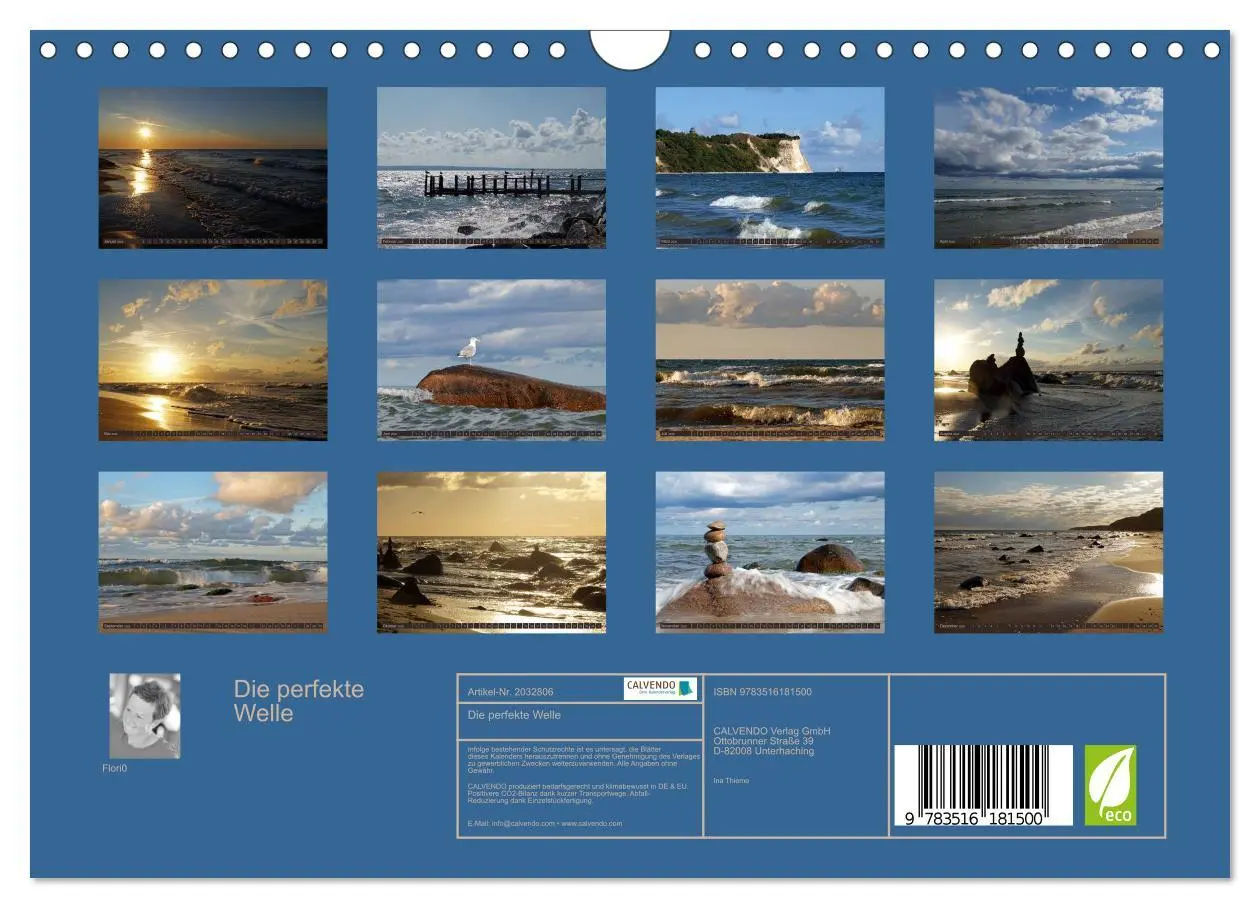 Bild: 9783516181500 | Die perfekte Welle (Wandkalender 2026 DIN A4 quer), CALVENDO...