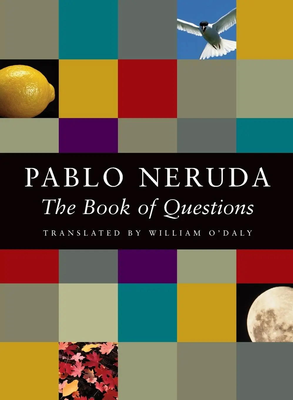 Cover: 9781556591600 | The Book of Questions | Pablo Neruda | Taschenbuch | Englisch | 2001