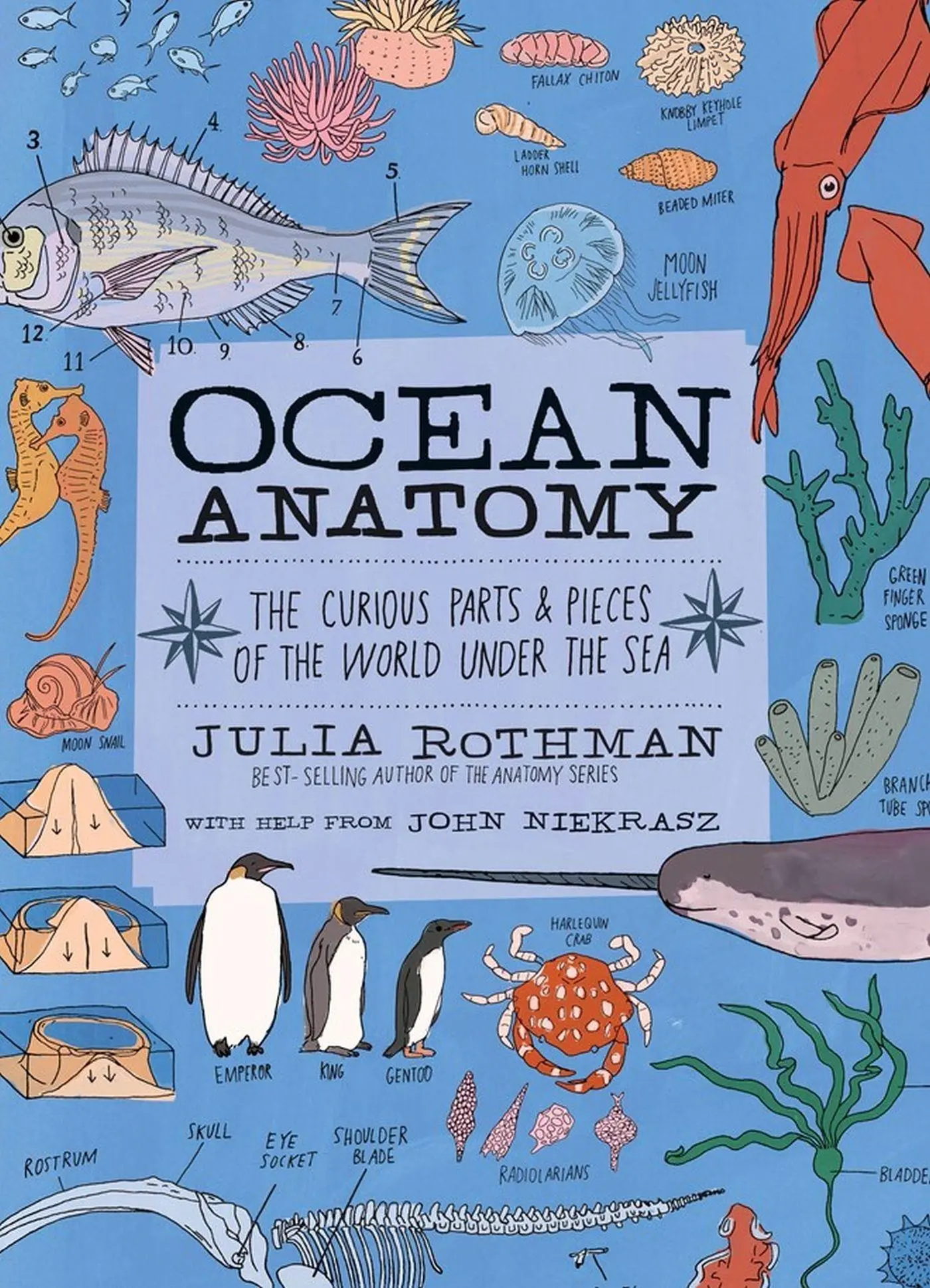 Cover: 9781635861600 | Ocean Anatomy | The Curious Parts &amp; Pieces of the World under the Sea