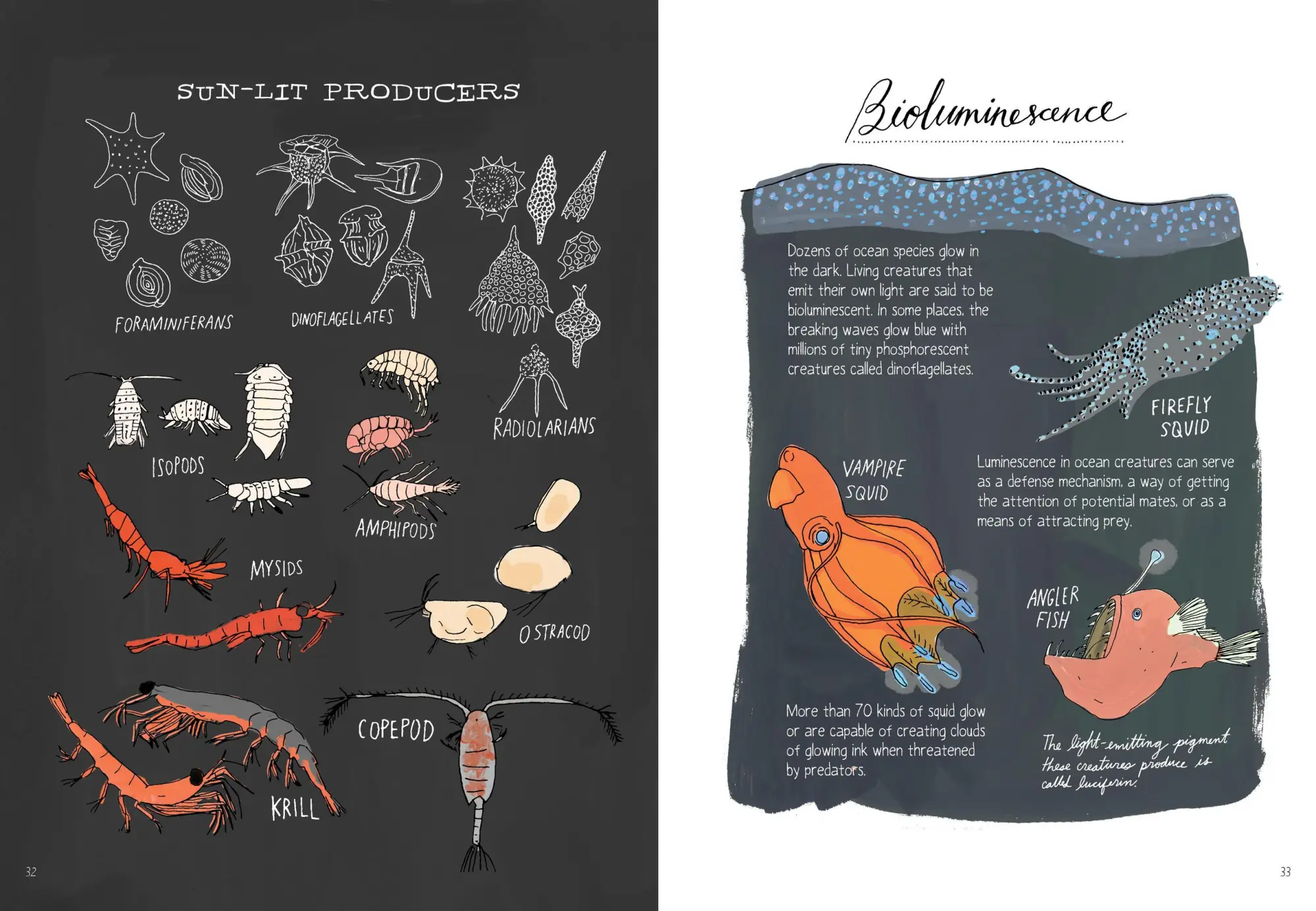 Bild: 9781635861600 | Ocean Anatomy | The Curious Parts &amp; Pieces of the World under the Sea
