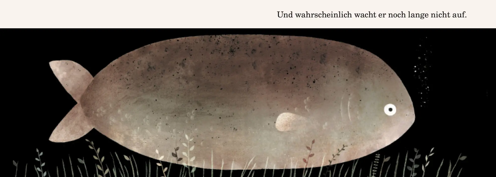 Bild: 9783314101700 | Das ist nicht mein Hut | Jon Klassen | Buch | 40 S. | Deutsch | 2013