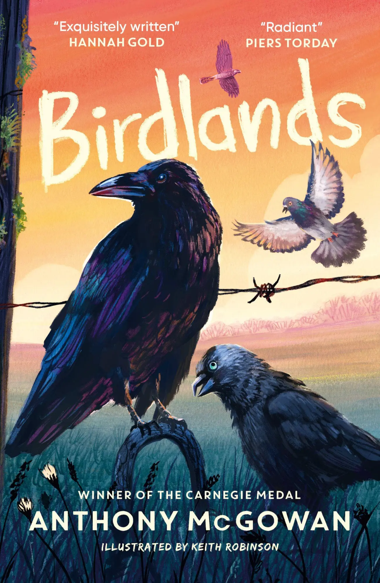 Cover: 9781836431800 | Birdlands | Anthony McGowan | Taschenbuch | 194 S. | Englisch | 2026
