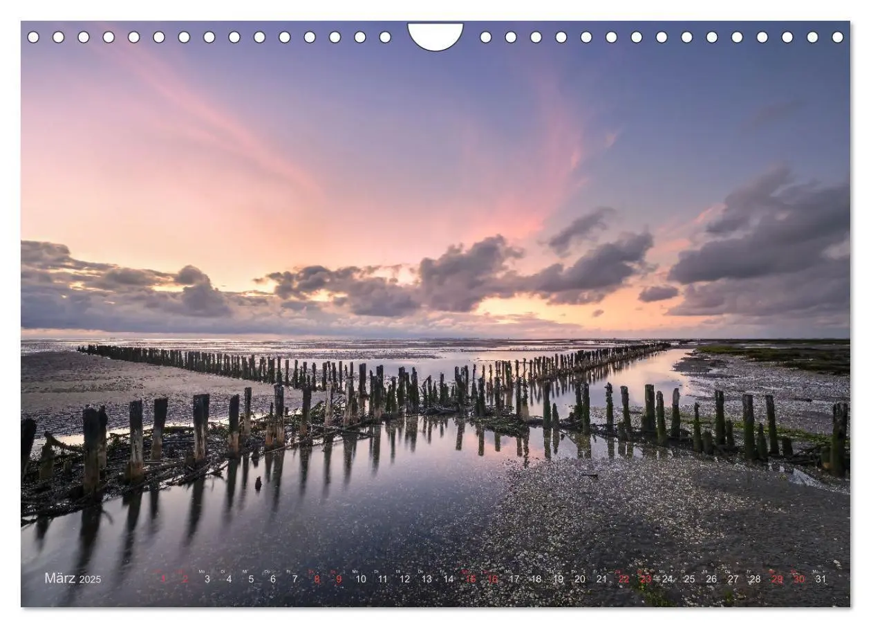 Bild: 9783383951800 | Wunderschönes Eiderstedt (Wandkalender 2025 DIN A4 quer), CALVENDO...