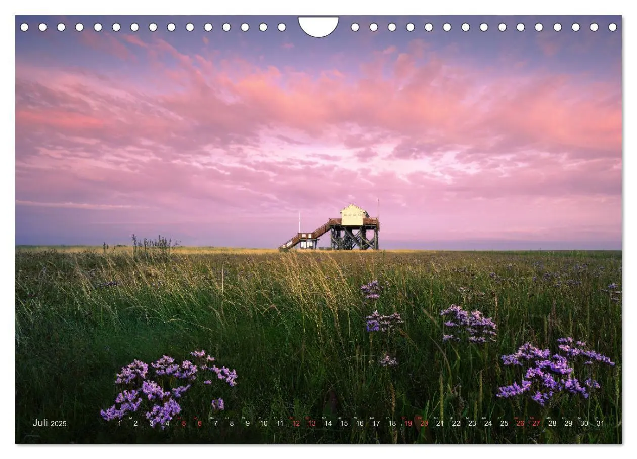 Bild: 9783383951800 | Wunderschönes Eiderstedt (Wandkalender 2025 DIN A4 quer), CALVENDO...
