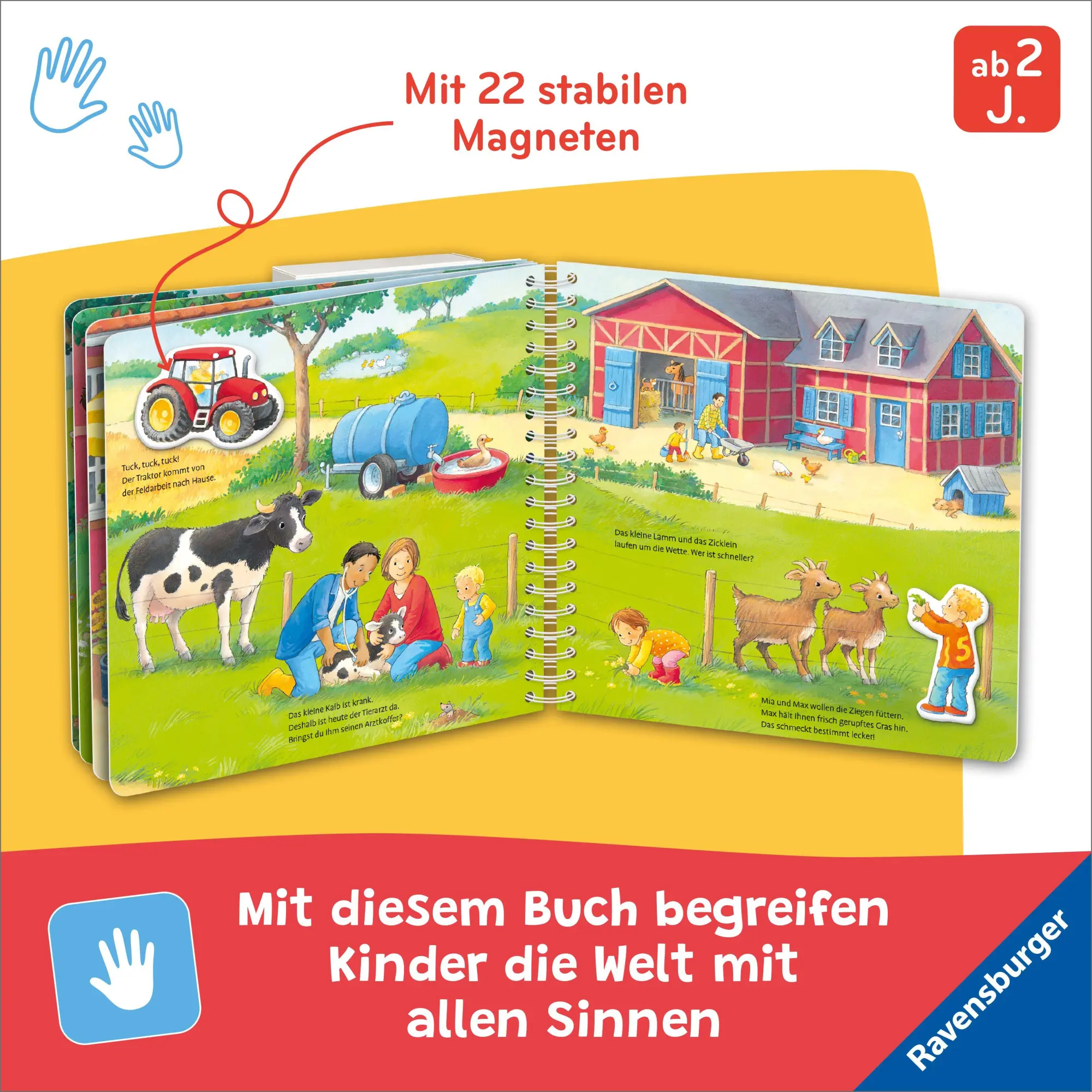 Bild: 9783473421800 | Mein großes Magnetbuch - Was gehört wohin? Auf dem Bauernhof | Senner