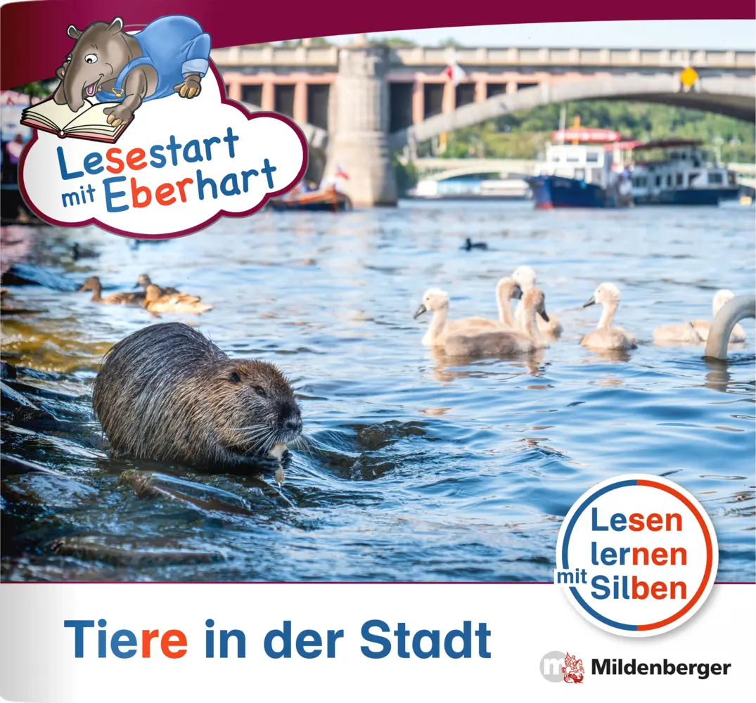 Cover: 9783619041800 | Lesestart mit Eberhart: Tiere in der Stadt | Nicole Brandau (u. a.)
