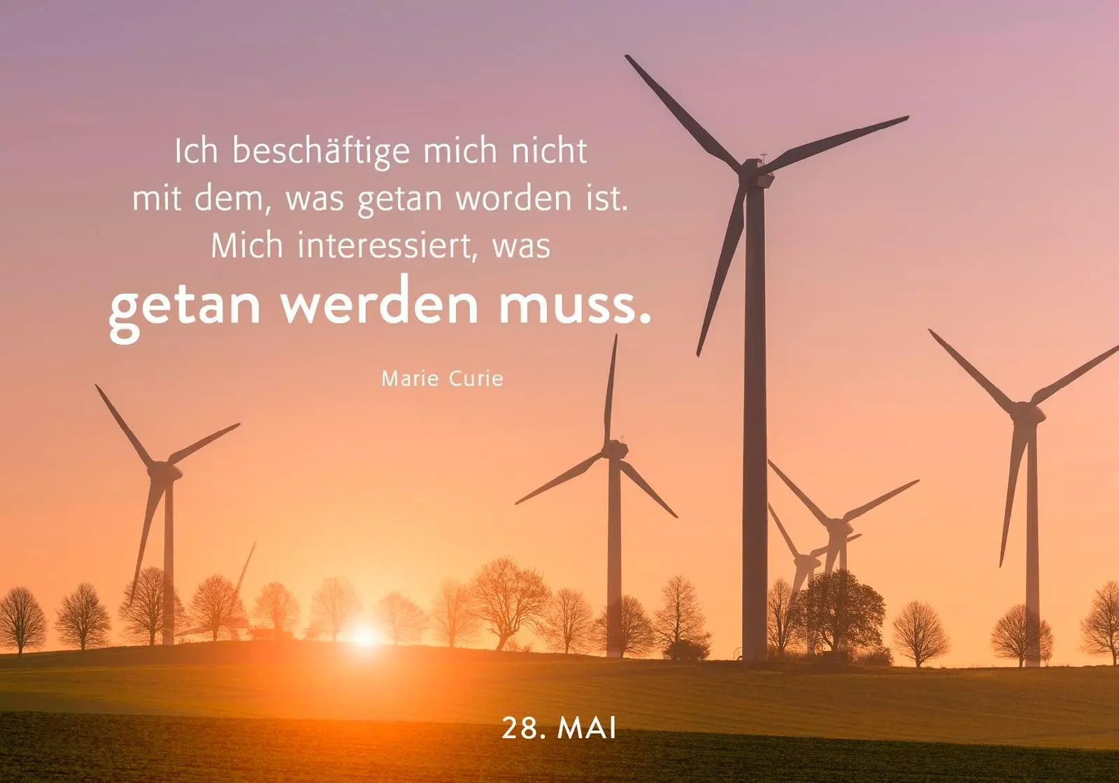 Bild: 9783629011800 | 365 mal Zuversicht | Pattloch Verlag | Kalender | 384 S. | Deutsch