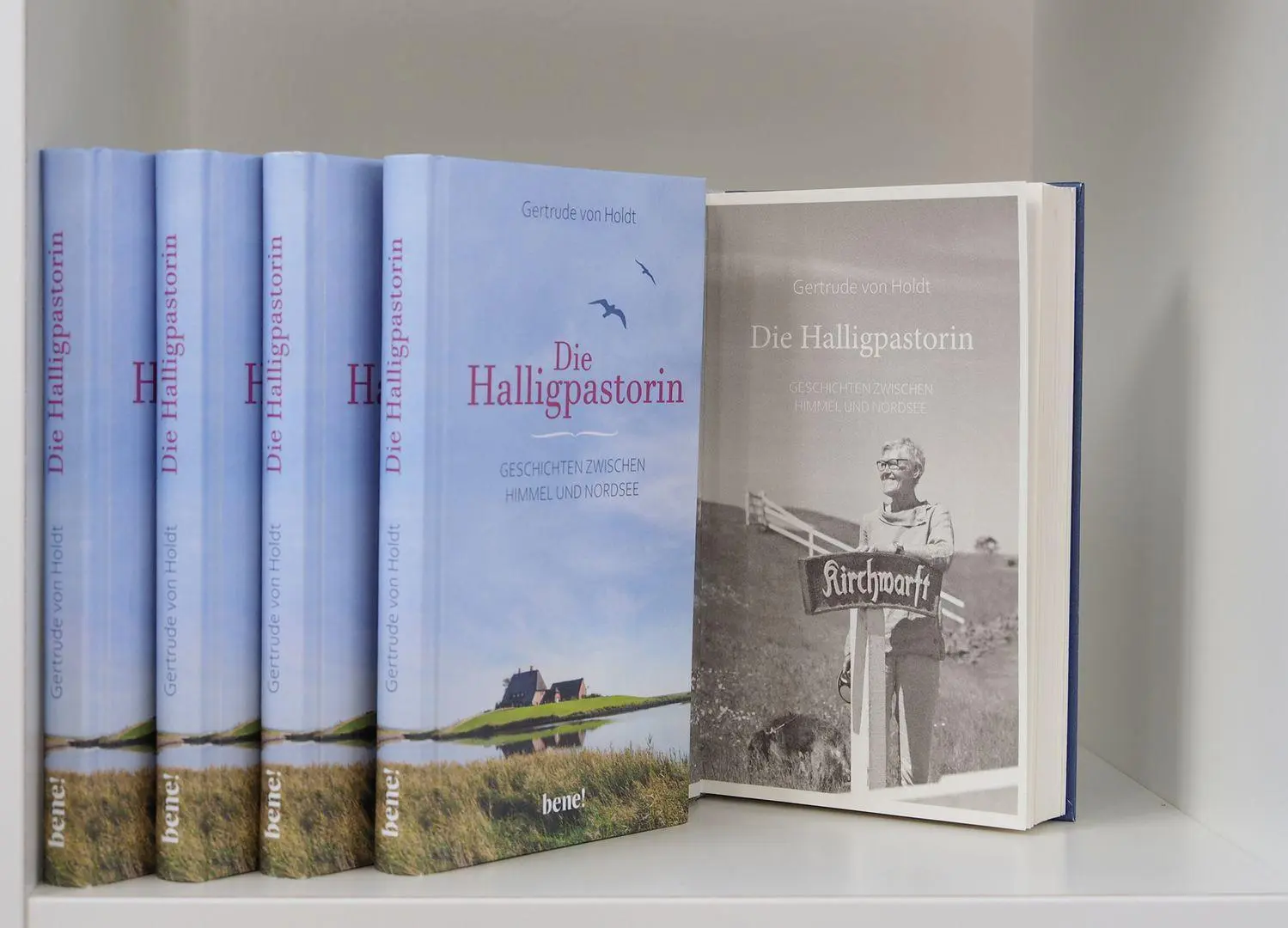 Bild: 9783963401800 | Die Halligpastorin | Geschichten zwischen Himmel und Nordsee | Holdt