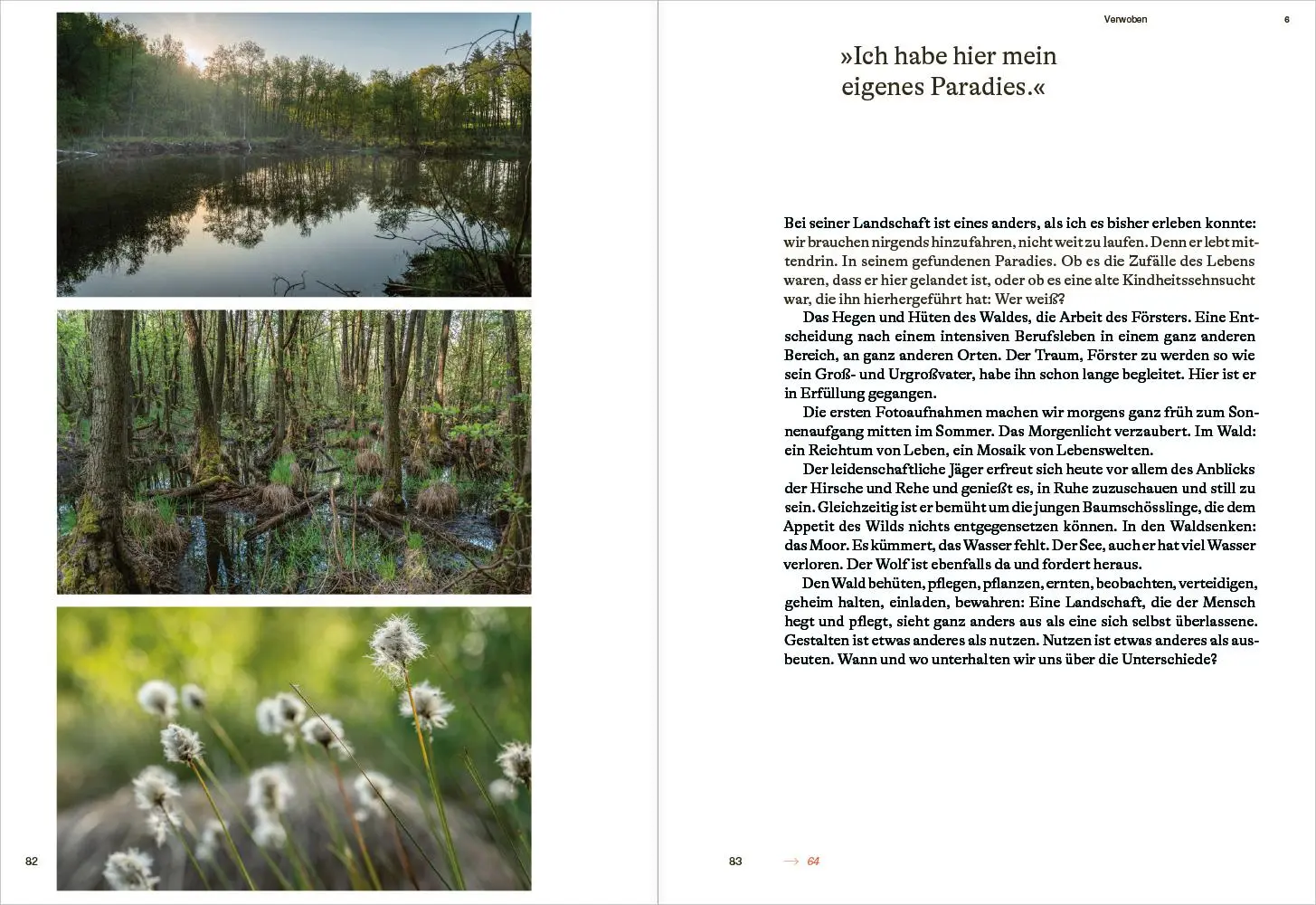 Bild: 9783987261800 | Rewilding am Oderdelta | Johannes Schiller (u. a.) | Taschenbuch