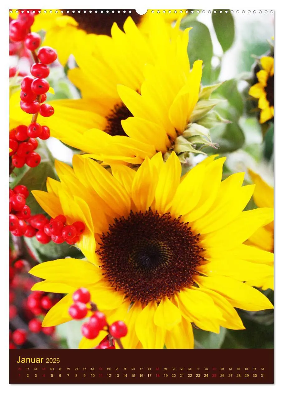 Bild: 9783516381900 | Sonnenblumen - Strahlende Blüten (Wandkalender 2026 DIN A2 hoch),...