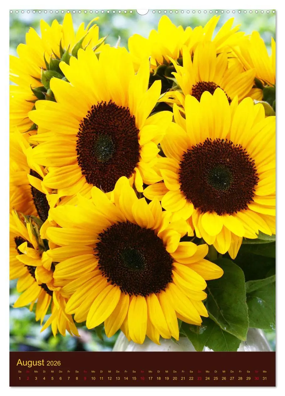 Bild: 9783516381900 | Sonnenblumen - Strahlende Blüten (Wandkalender 2026 DIN A2 hoch),...