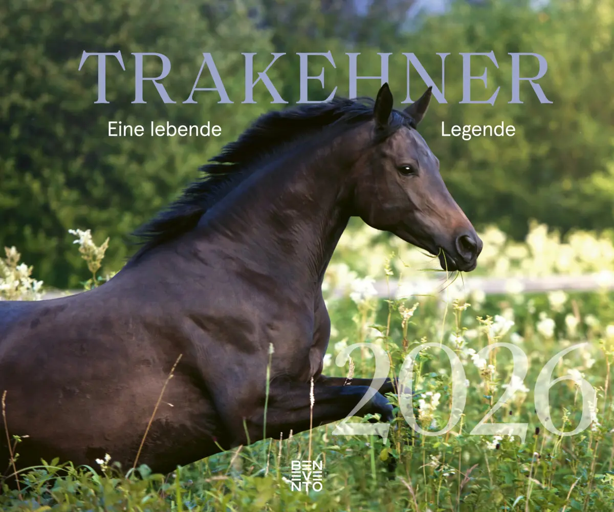 Cover: 9783710902000 | Trakehner 2026 | Eine lebende Legende | Kalender | Spiralbindung