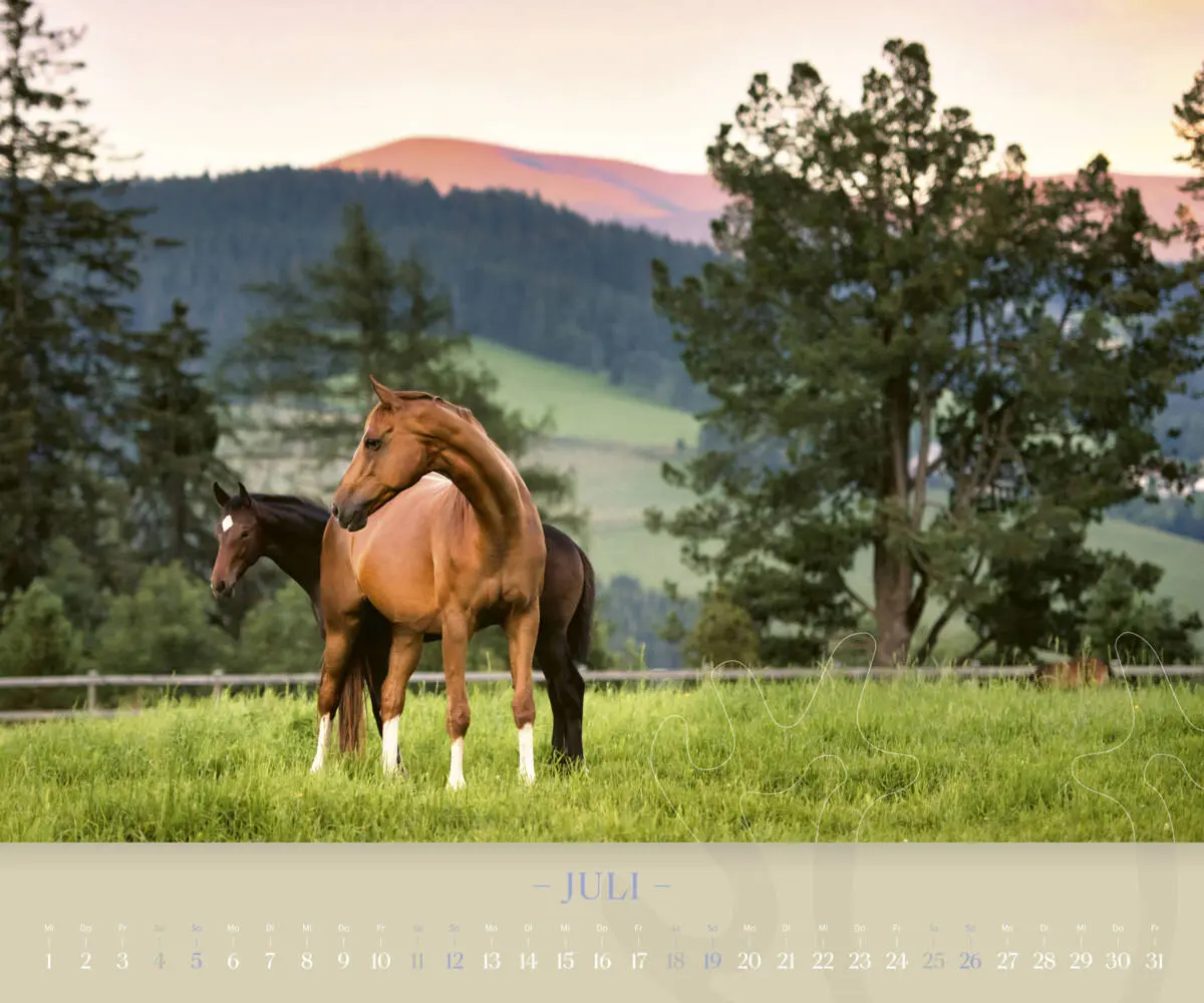 Bild: 9783710902000 | Trakehner 2026 | Eine lebende Legende | Kalender | Spiralbindung
